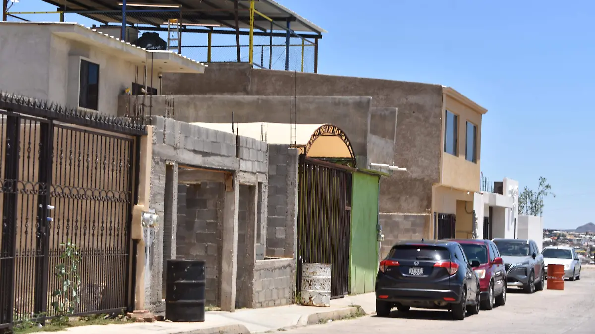 oleyda 5