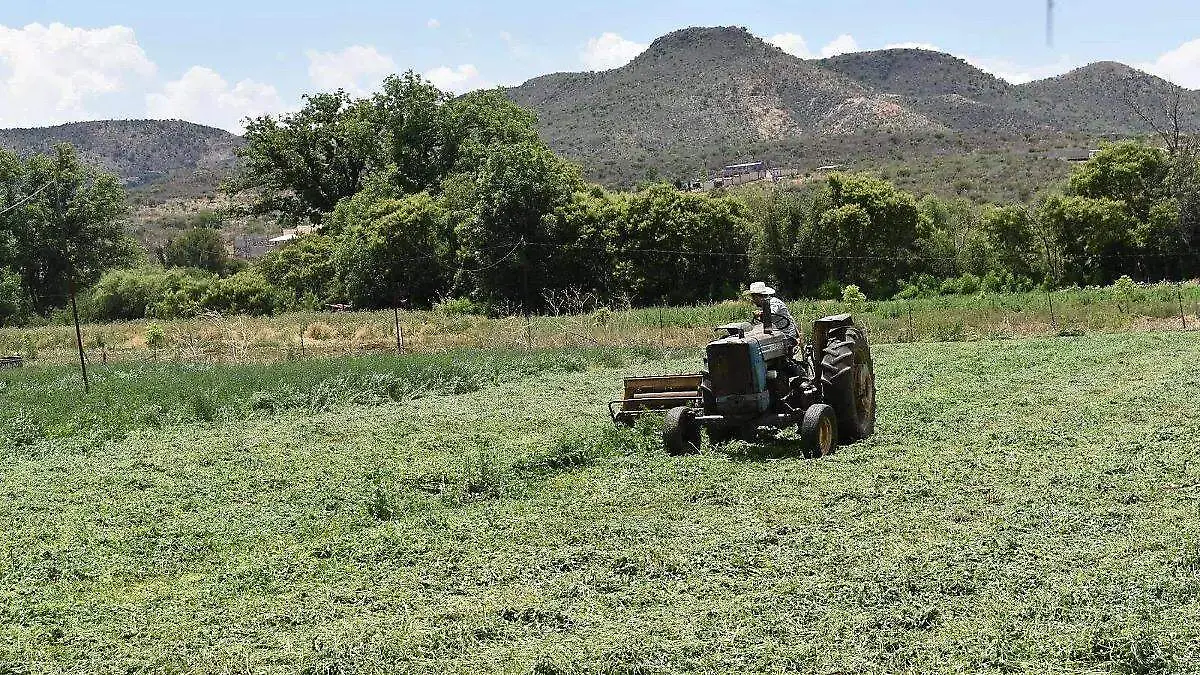 AGROPECUARIOS