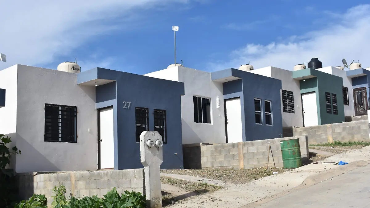 tandeo 4