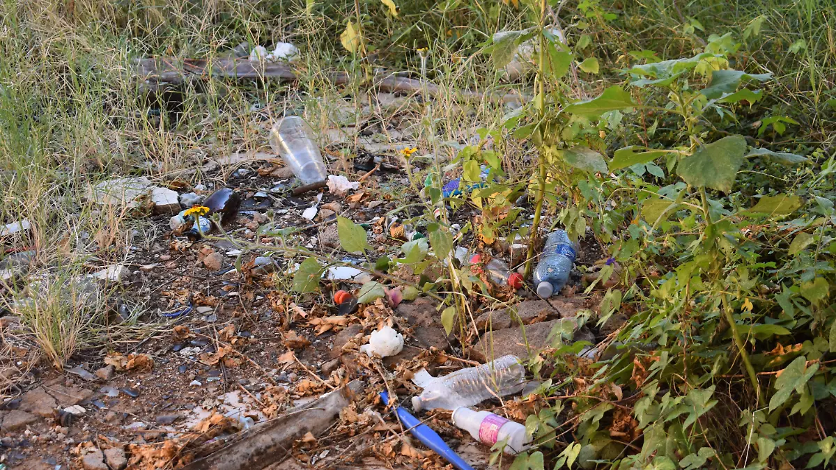 basura 3