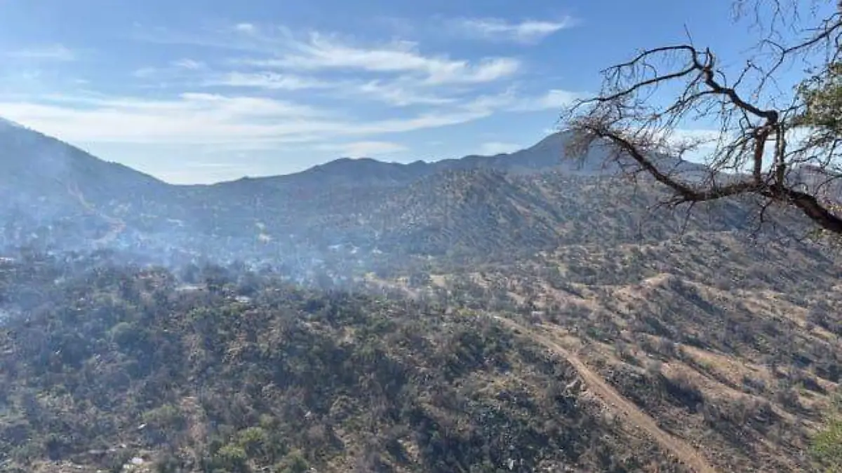 incendios forestal2