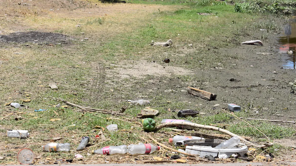 basura 6