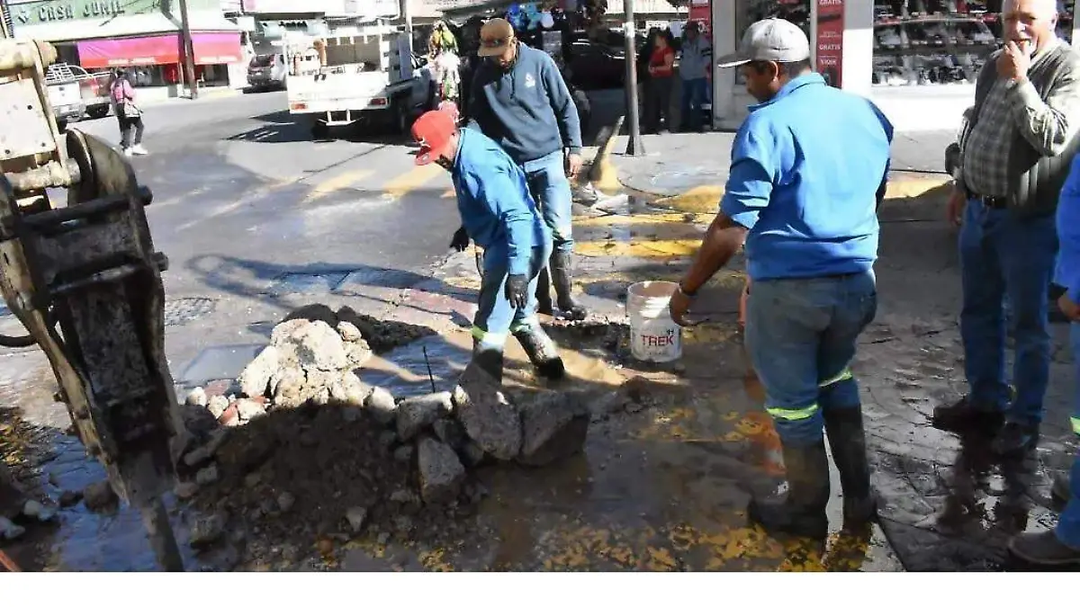 baches
