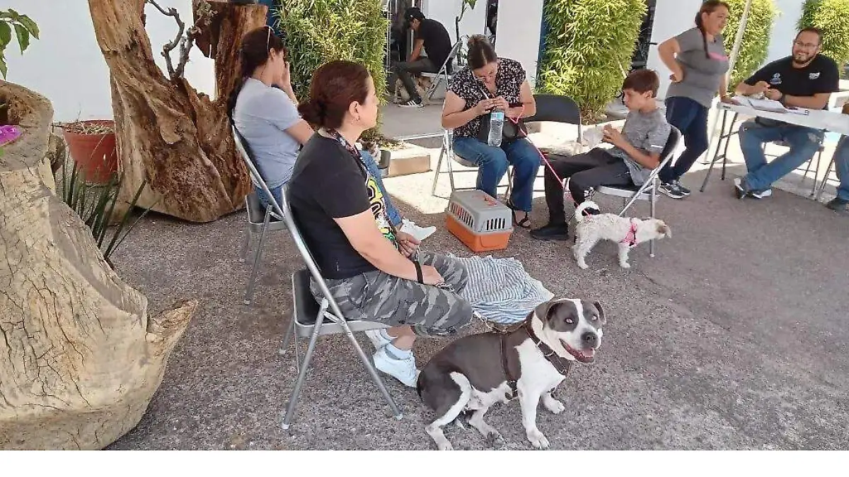 esterilizacion