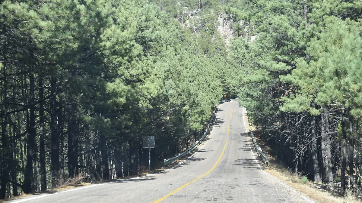 carretera 4