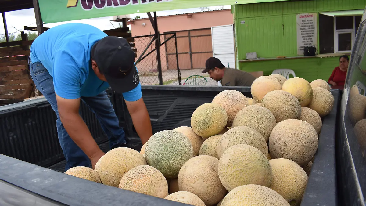 melones 1