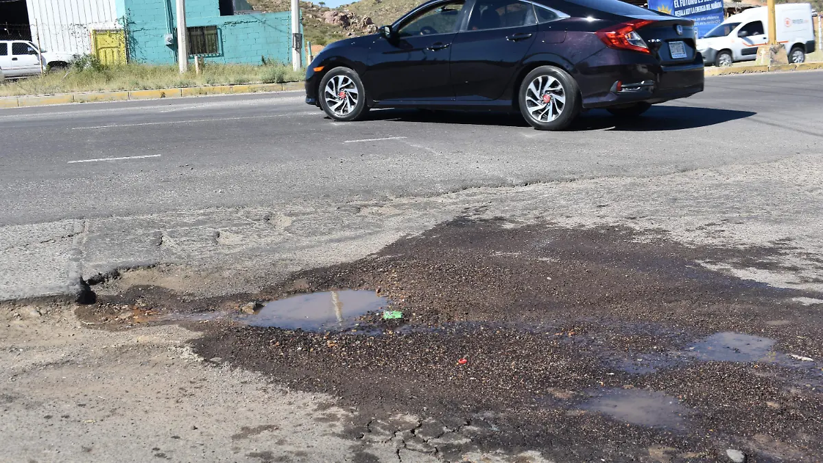 bache 1 (5)