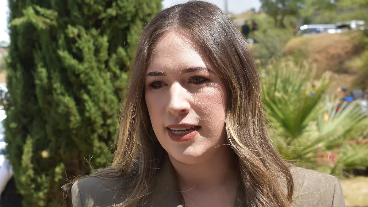 diputada 1 alma portillo