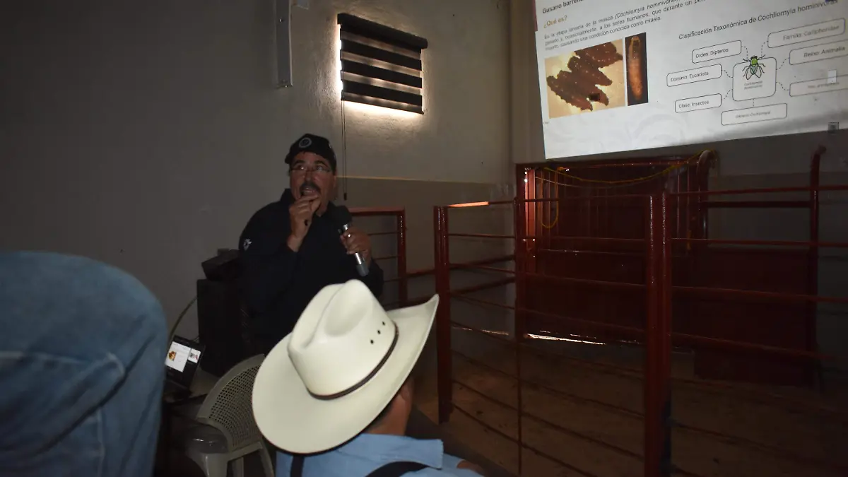 capacitacion 4