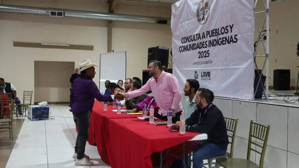 CONSULTA INDIGENA