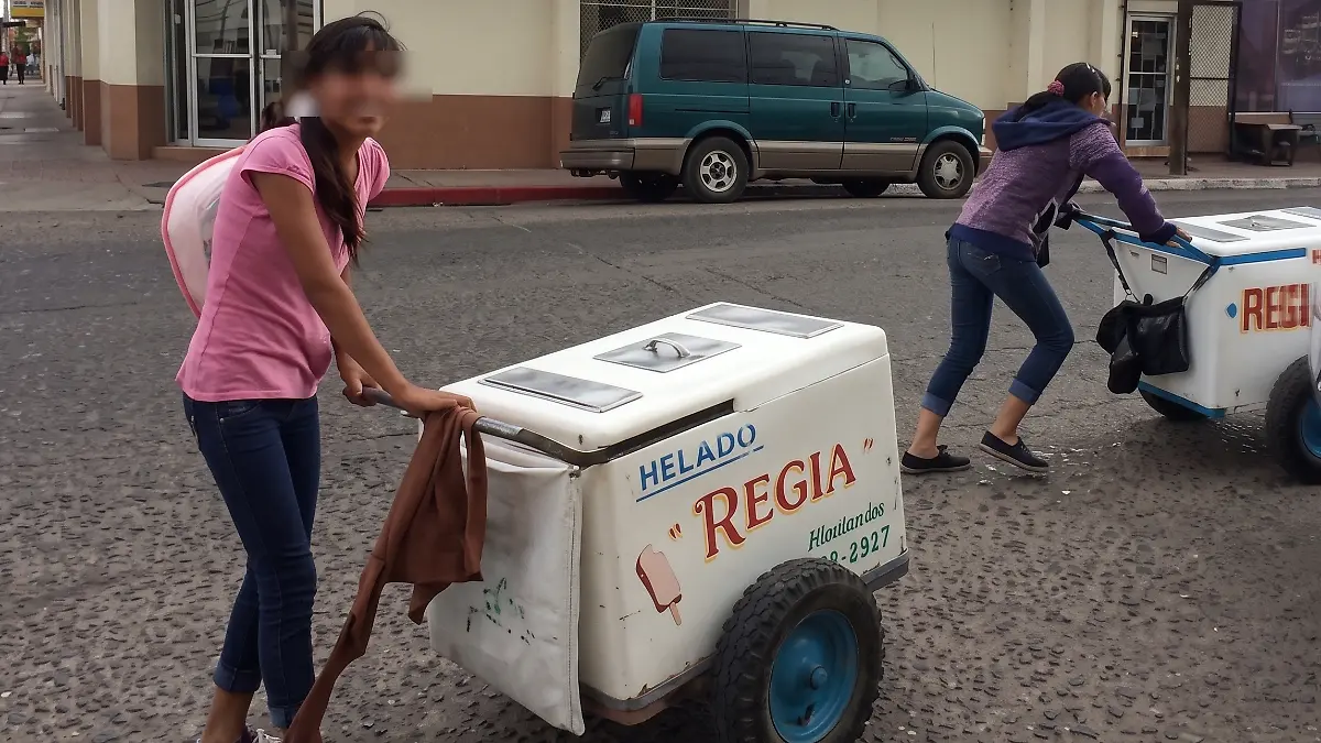 Carritos de paletas