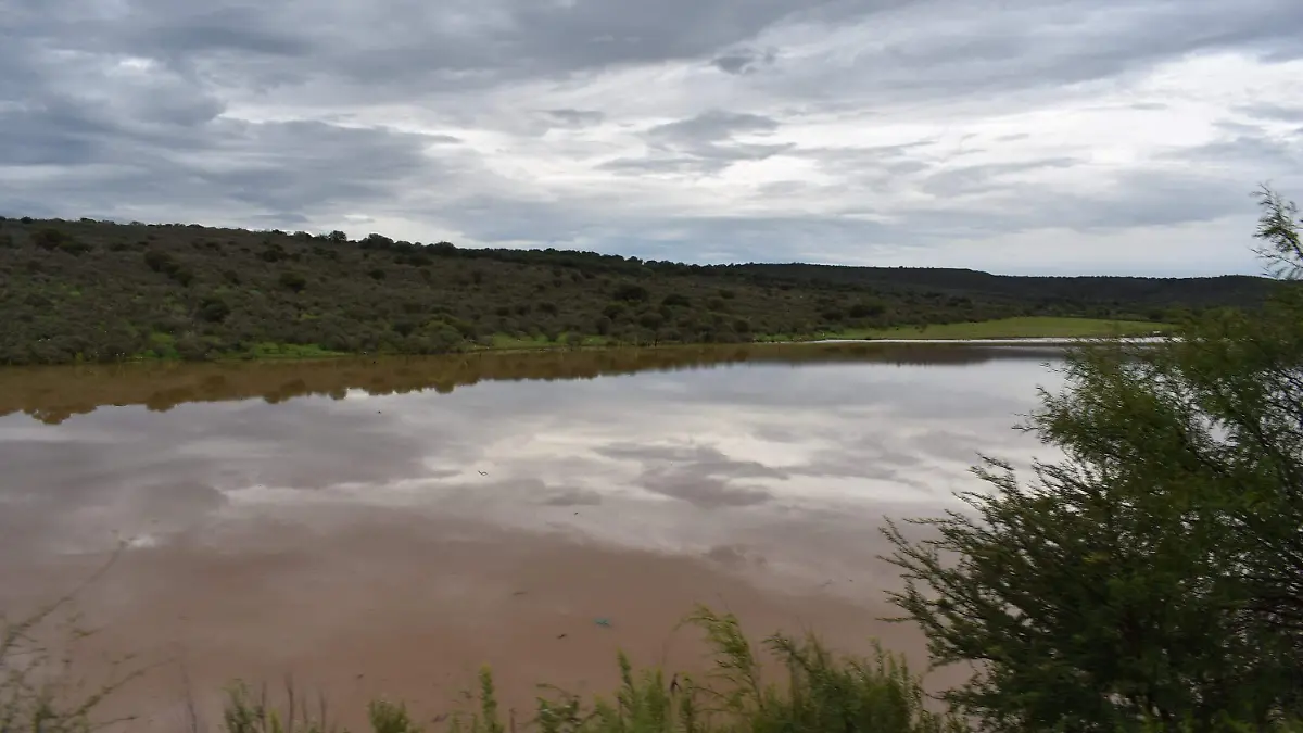 presa 1