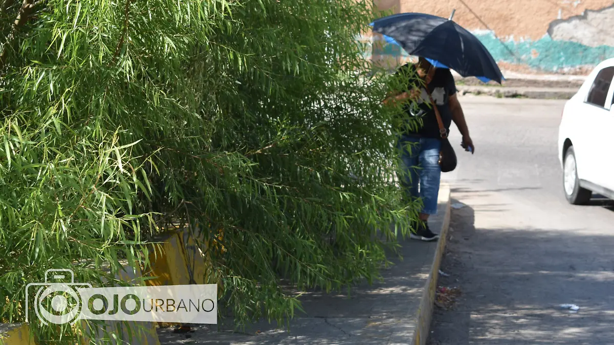 Ojo Urbano
