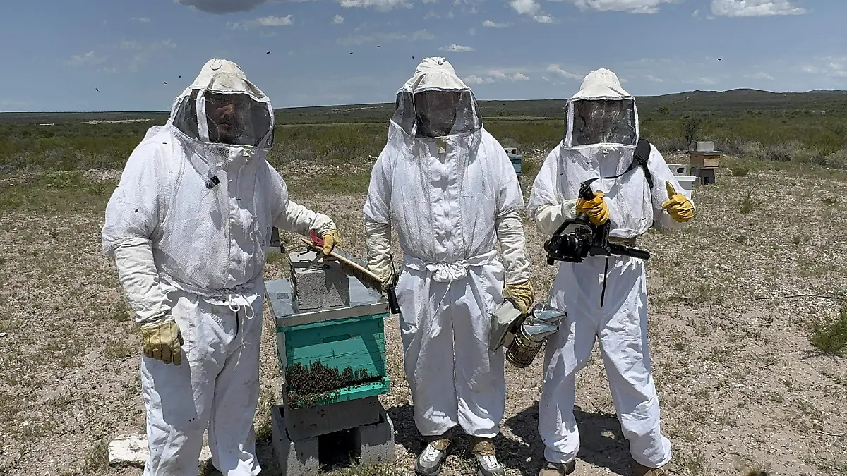 SANTUARIO DE ABEJAS 1
