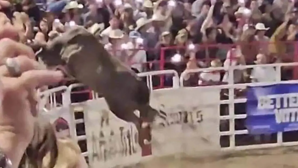 Toro salta valla y lesiona a tres personas en un rodeo de Oregón