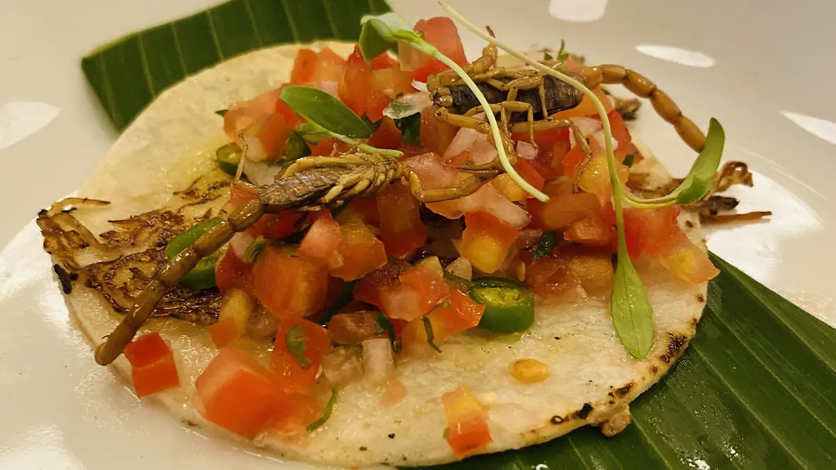 Prueba un delicioso taco de alacrán