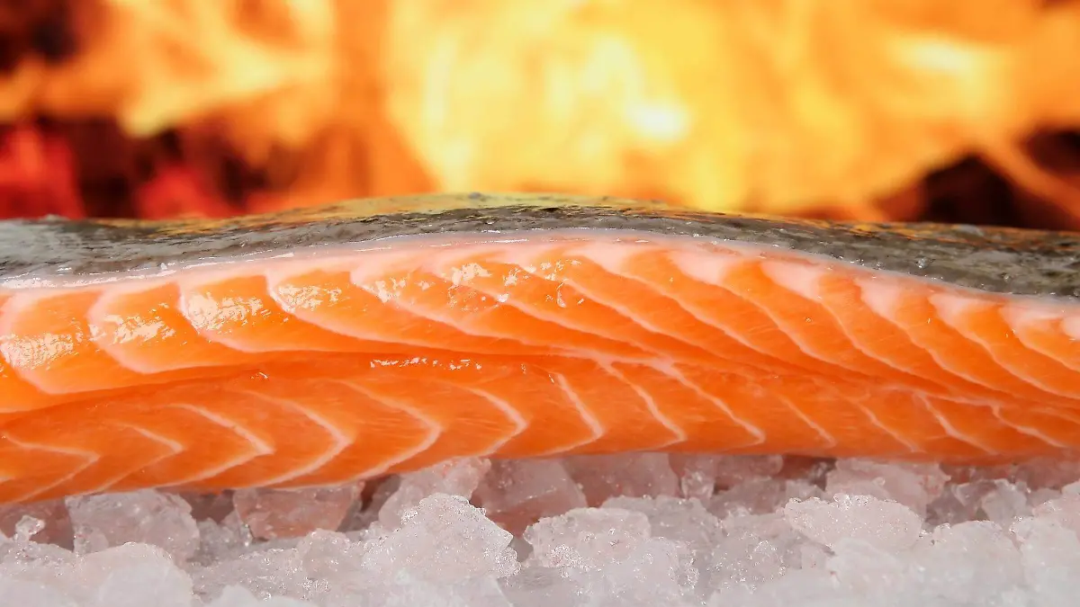 salmon-1238662_1920