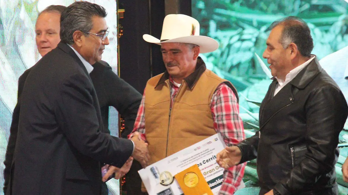 Exposicion de Mezcal de Puebla