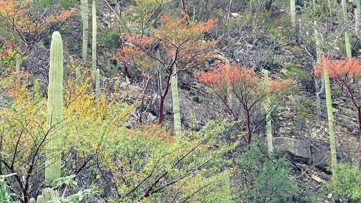 reserva de la biosfera