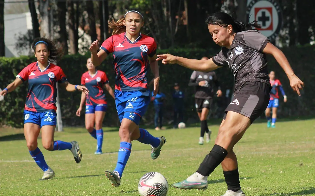 puebla femenil 2