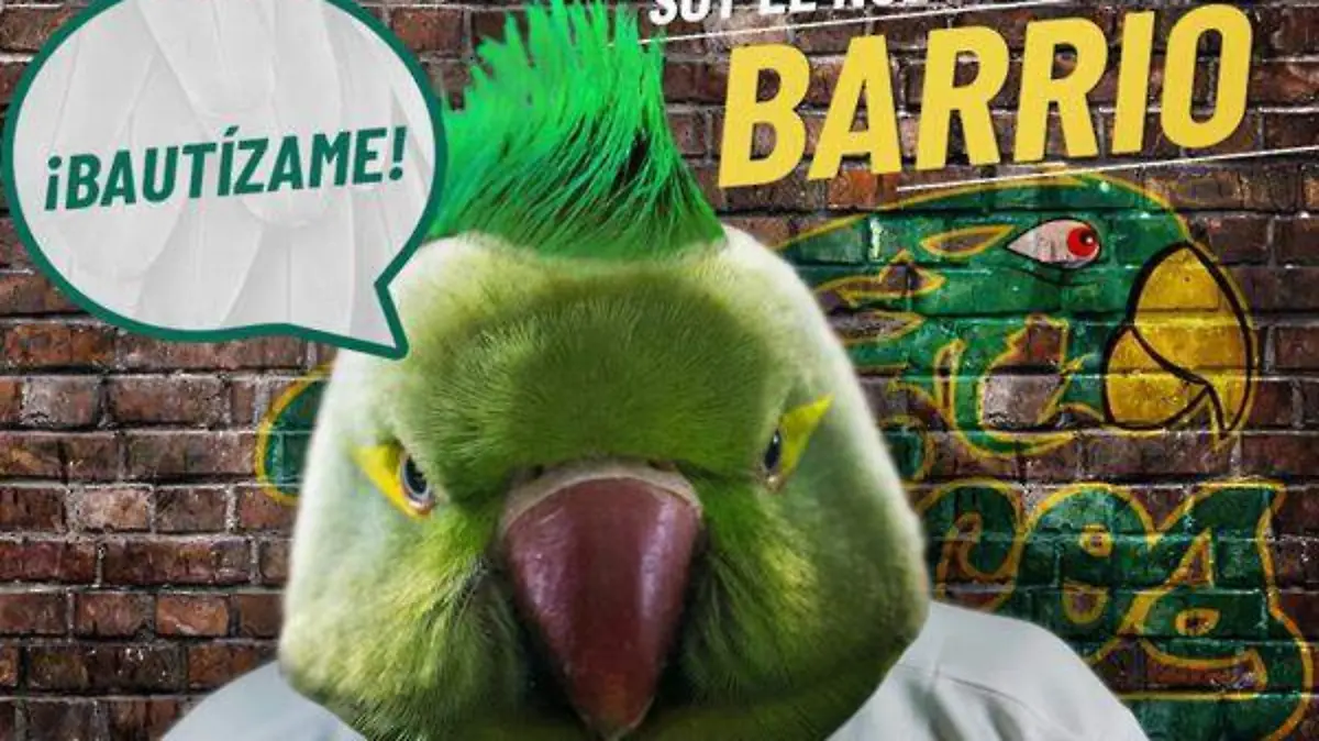 Perico Bautizame