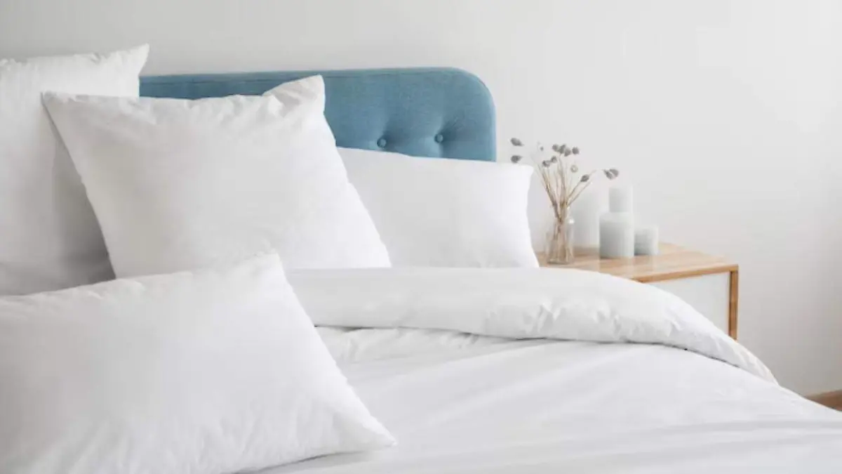 Conoce cada cuánto debes cambiar tu almohada