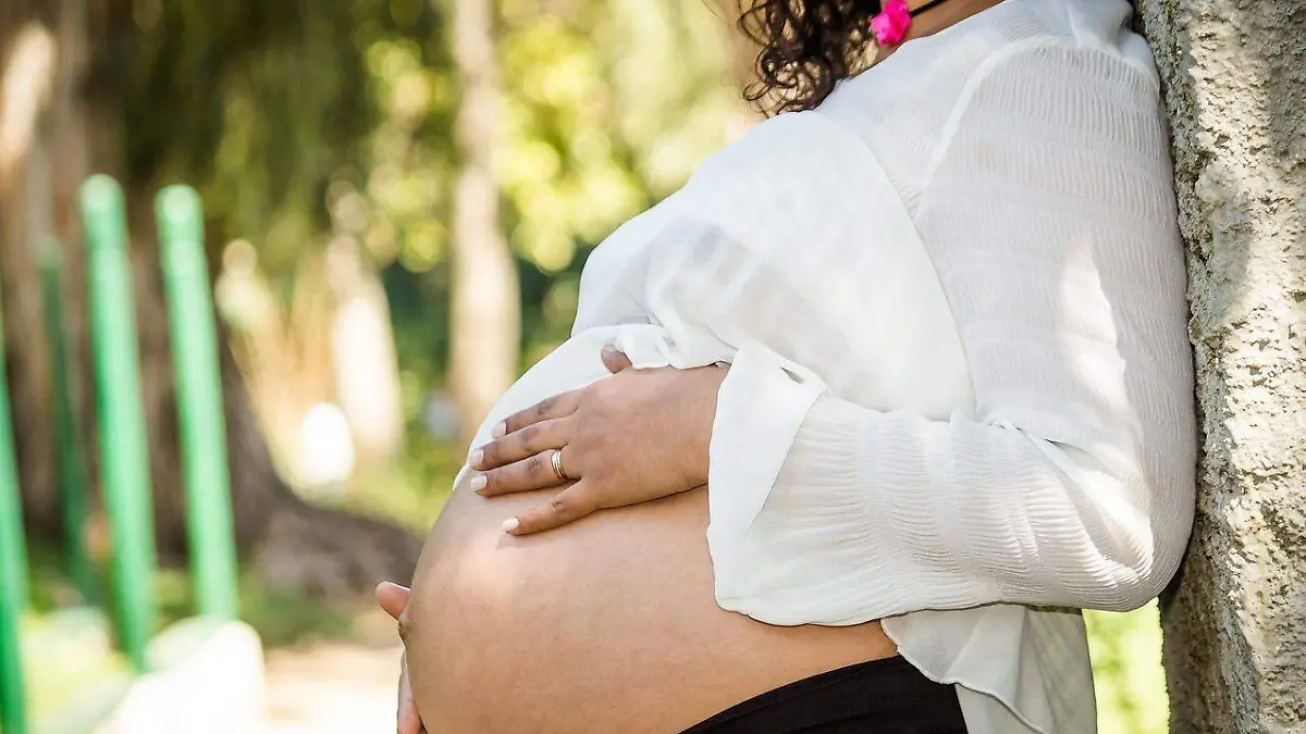 pregnant-2712894_1280
