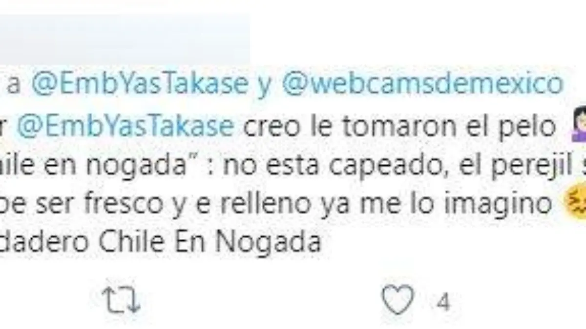 Respuesta Chile en Nogada Embajador Japón 02