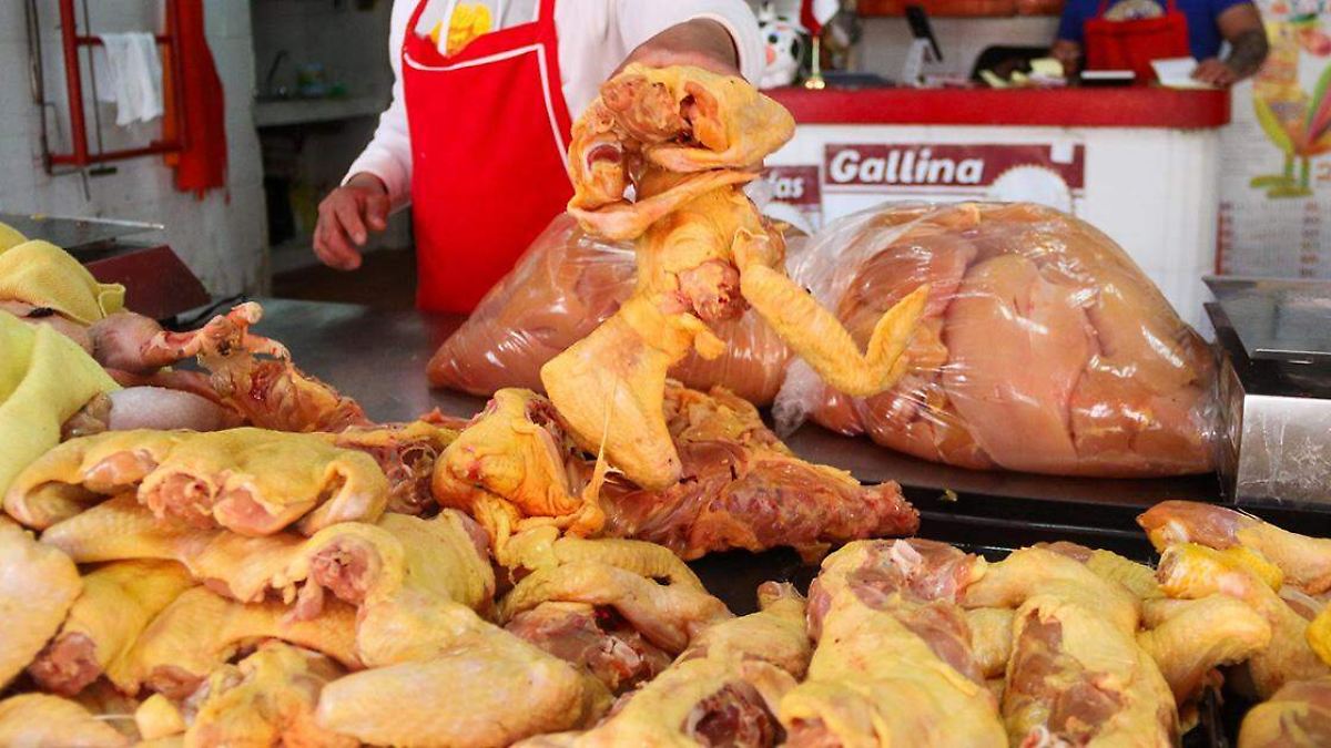Se ubica Puebla entre los principales productores de carne de ...