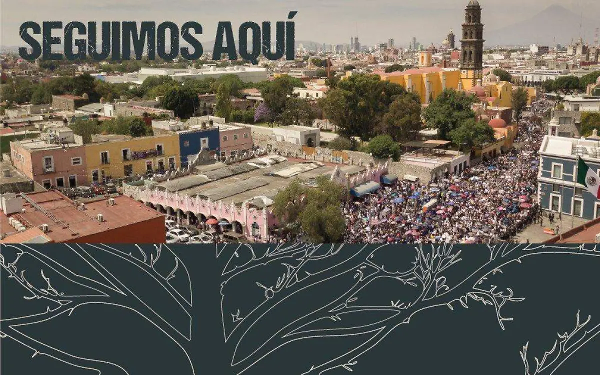 seguimos aqui