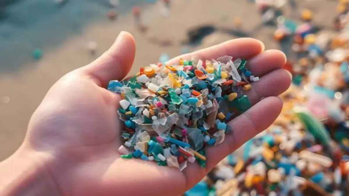 Microplasticos