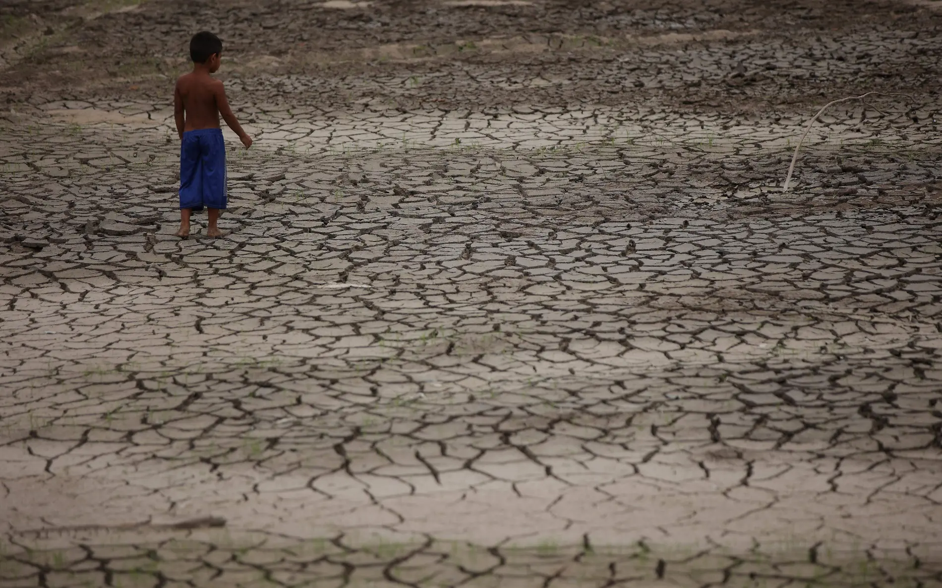 2024-01-24T165113Z_960278606_RC2RT3AV9WVC_RTRMADP_3_CLIMATE-CHANGE-AMAZON-DROUGHT