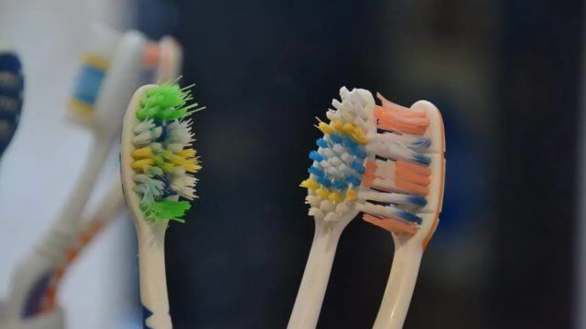 toothbrush-313768_640