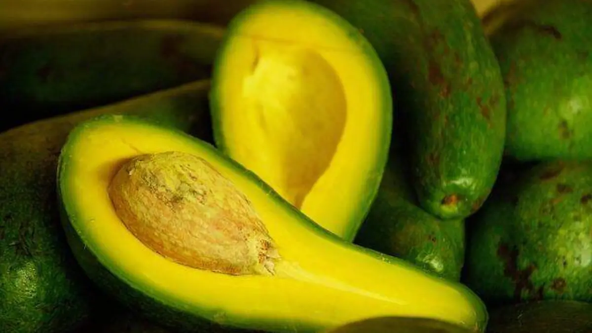 avocado-5344195_640