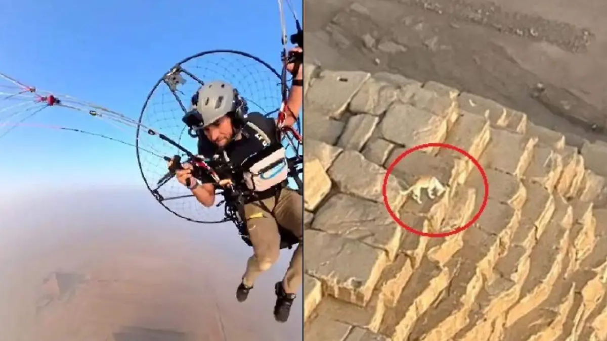 Graban a un perro en la punta de una pirámide de Giza en Egipto