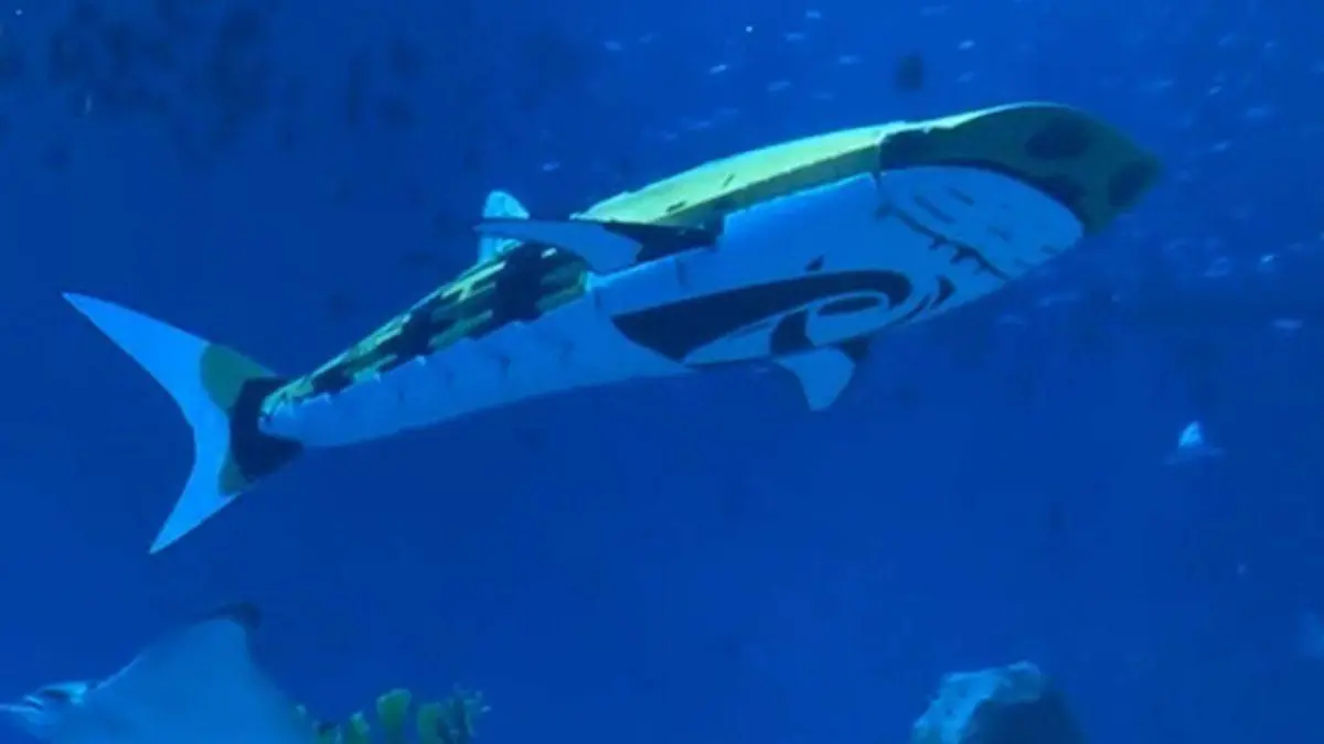Descubren que tiburón ballena de acuario en China en realidad es un robot