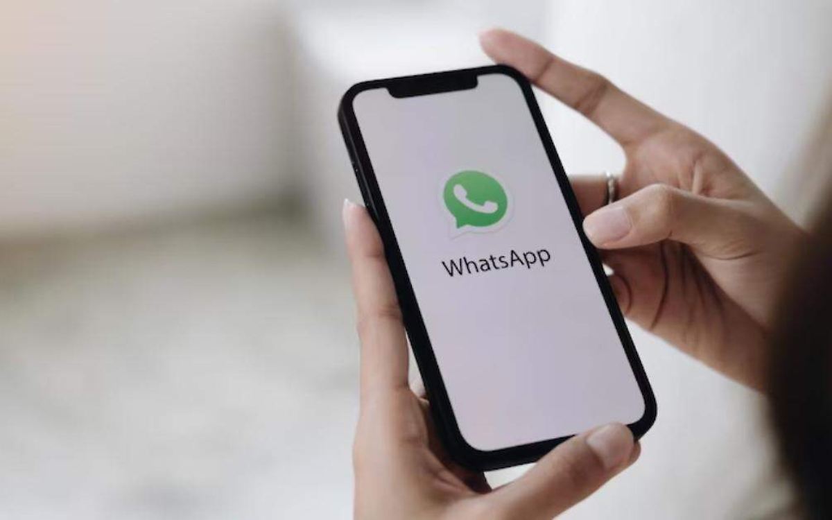¿Se puede desactivar la Inteligencia Artificial de WhatsApp? - El Sol de Puebla - News Directory 3