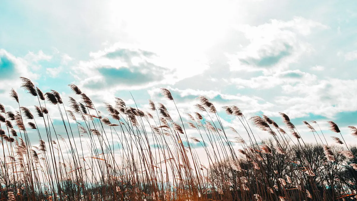 Alertan autoridades por vientos fuertes en Puebla