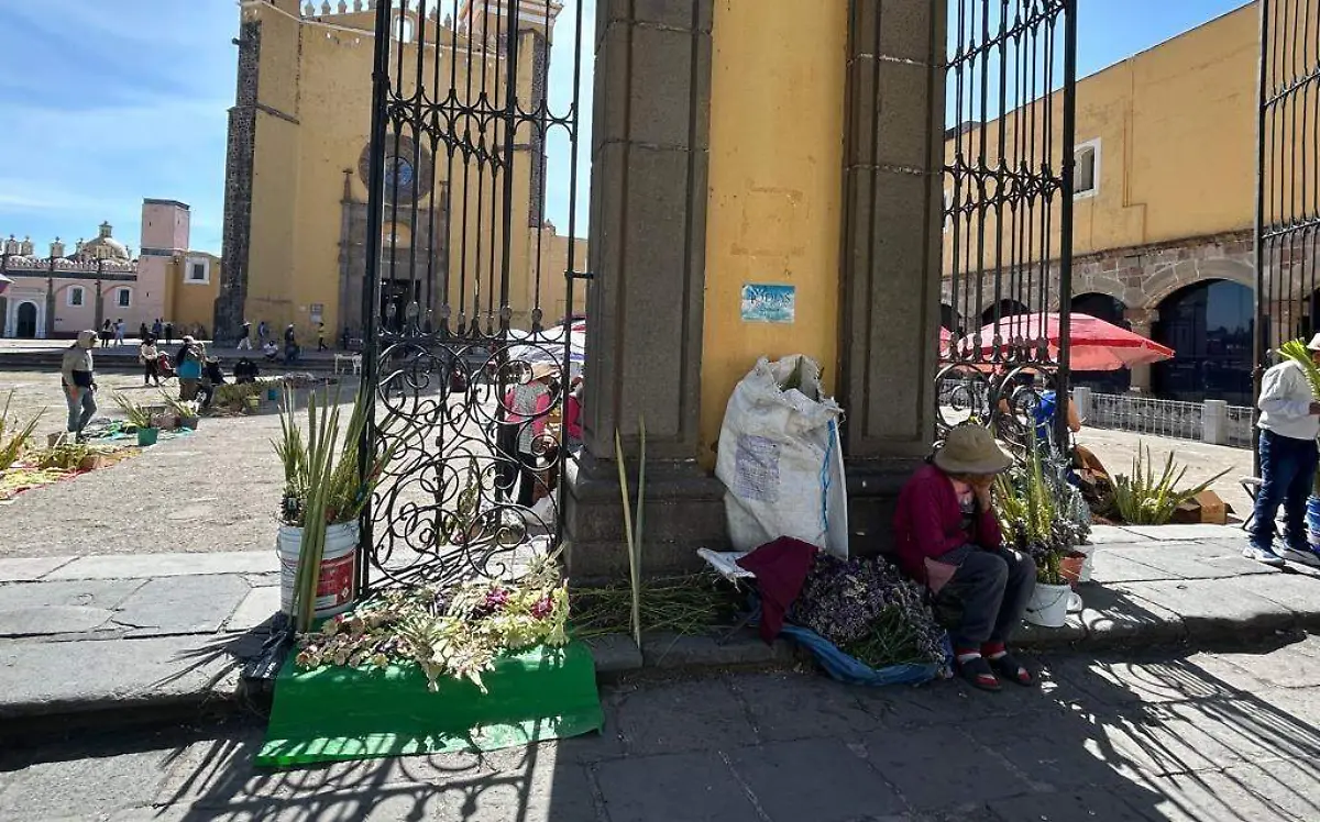 Imagen de WhatsApp 2024-03-24 a las 11.25.30_ffa20433