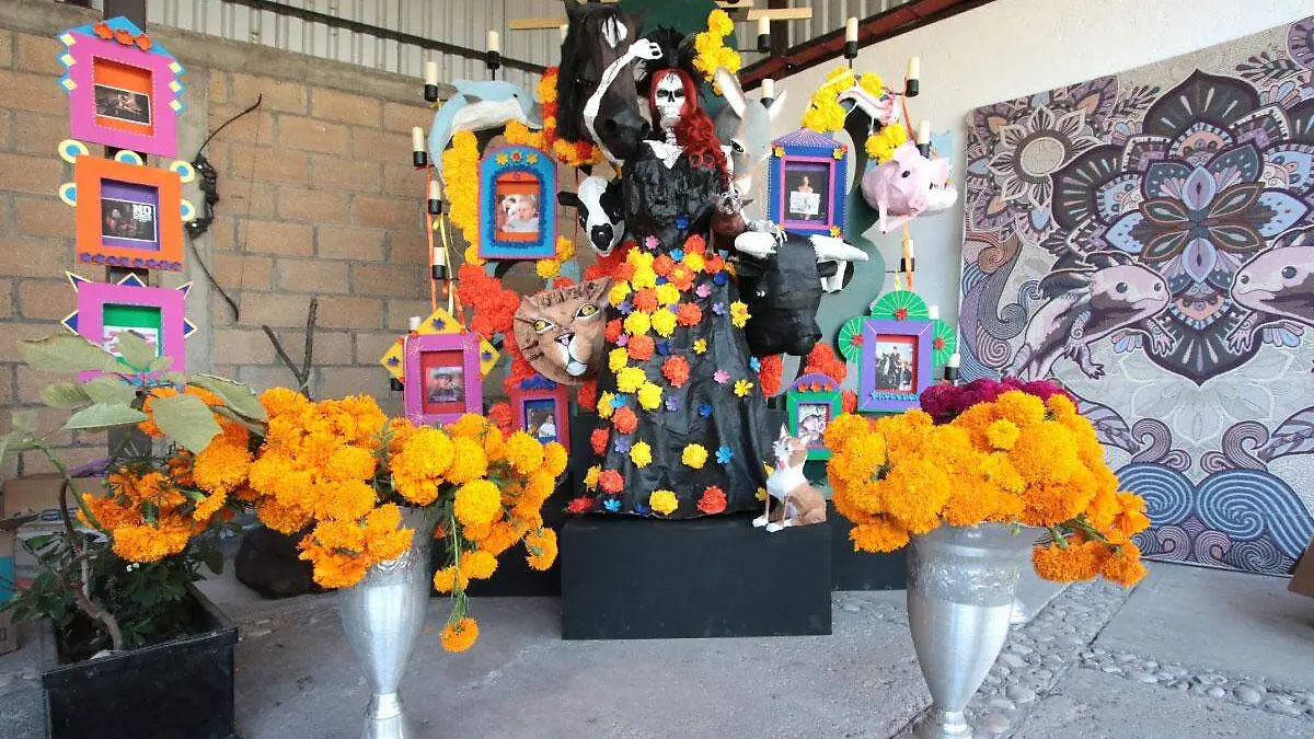 Elena-Larrea,-defensora-de-los-animales-es-recordada-con-un-altar-en-Cuacolandia