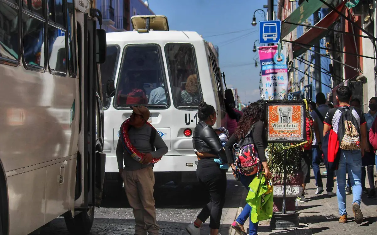 TRANSPORTE BIBI