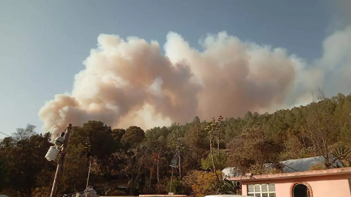 Incendio forestal en Libres