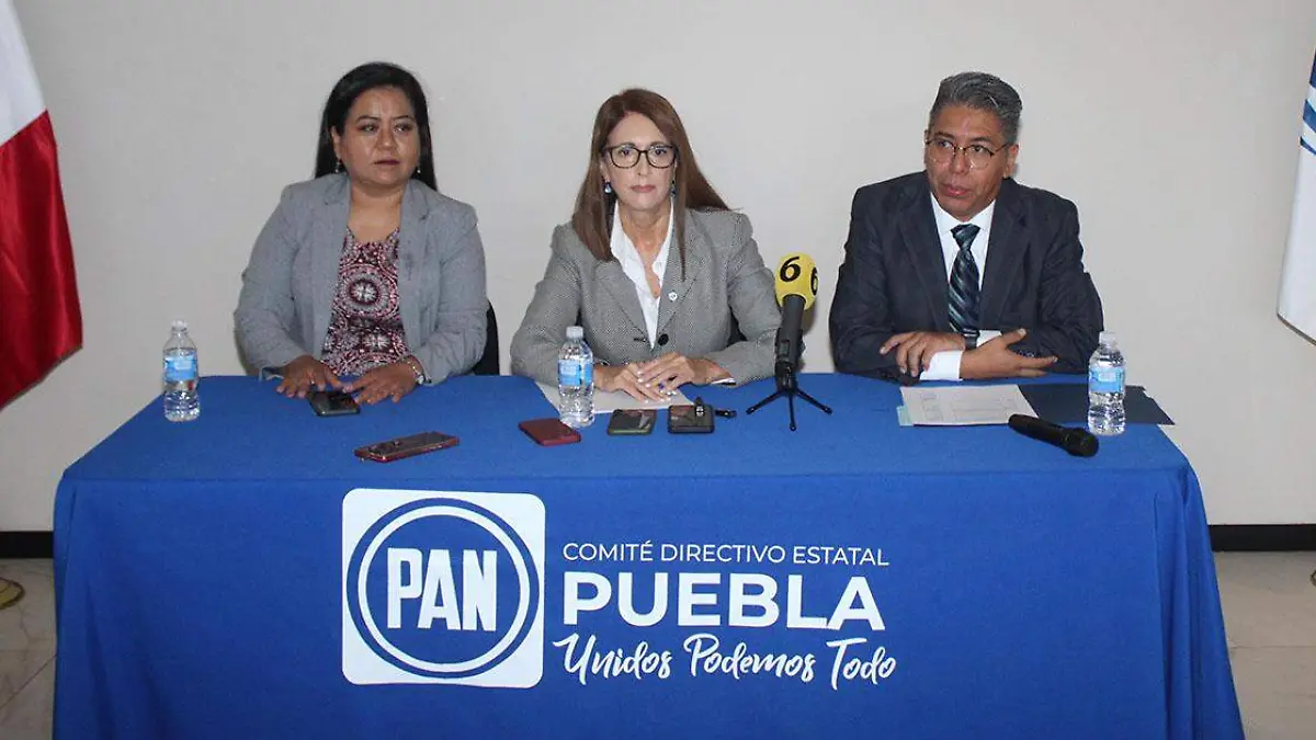 La dirigencia estatal del Partido Acción Nacional (PAN) rechazó que exista un atraso en el proceso de renovación