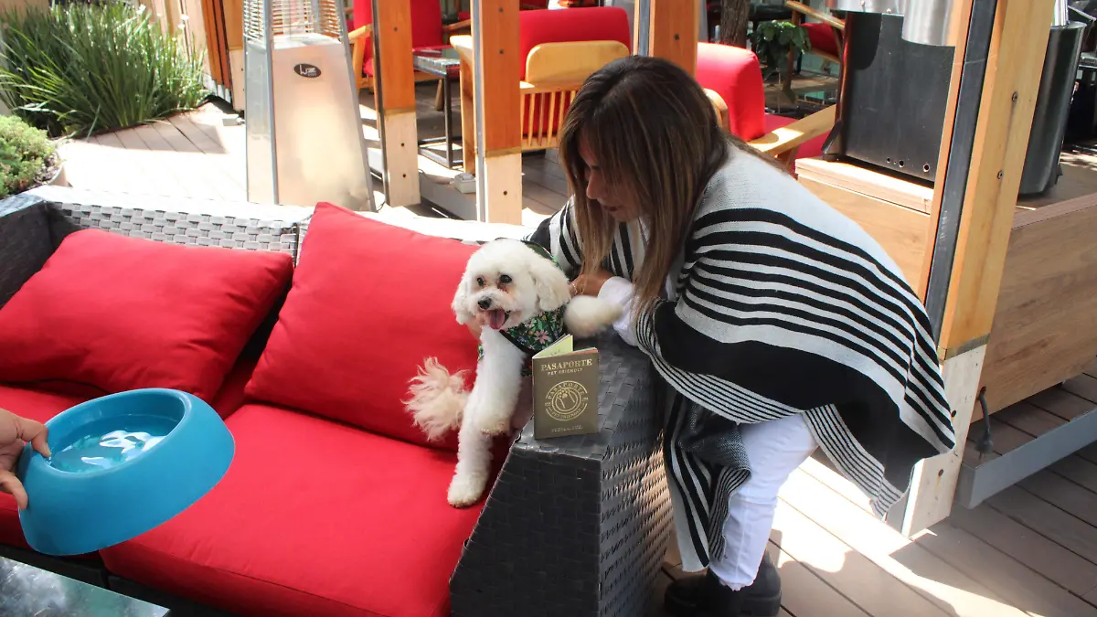 Los establecimientos seleccionados también ofrecen menús especiales