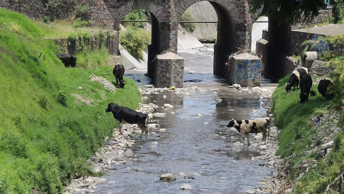 contaminacion empresas agropecuarias