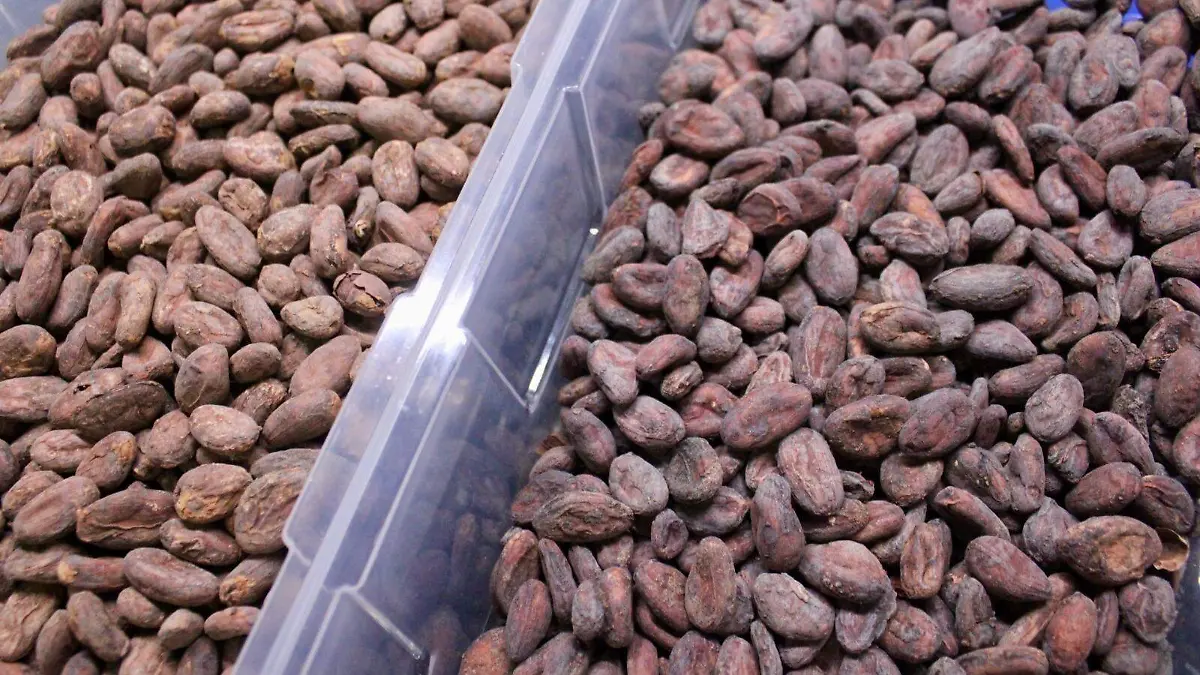 La compra del llamado oro blanco en nuestro país ayuda también a mitigar los abusos ecológicos y laborales