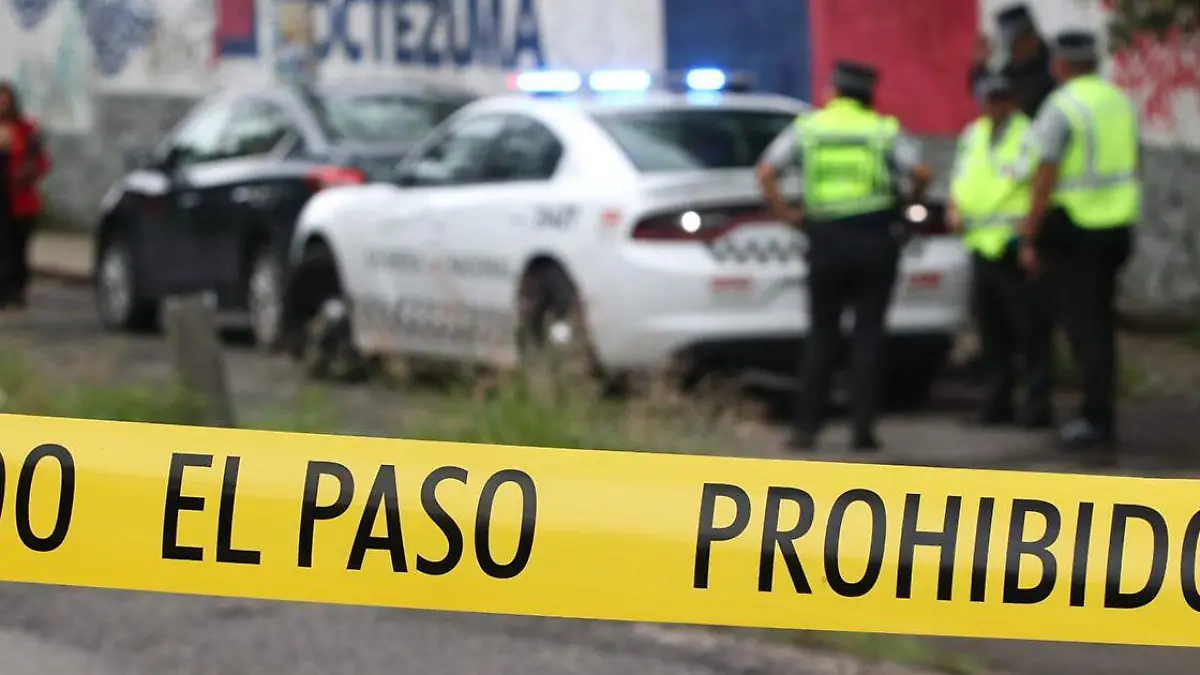 Mientras podaba un árbol, un hombre de la tercera edad cayó por accidente y murió debido a los golpes que sufrió