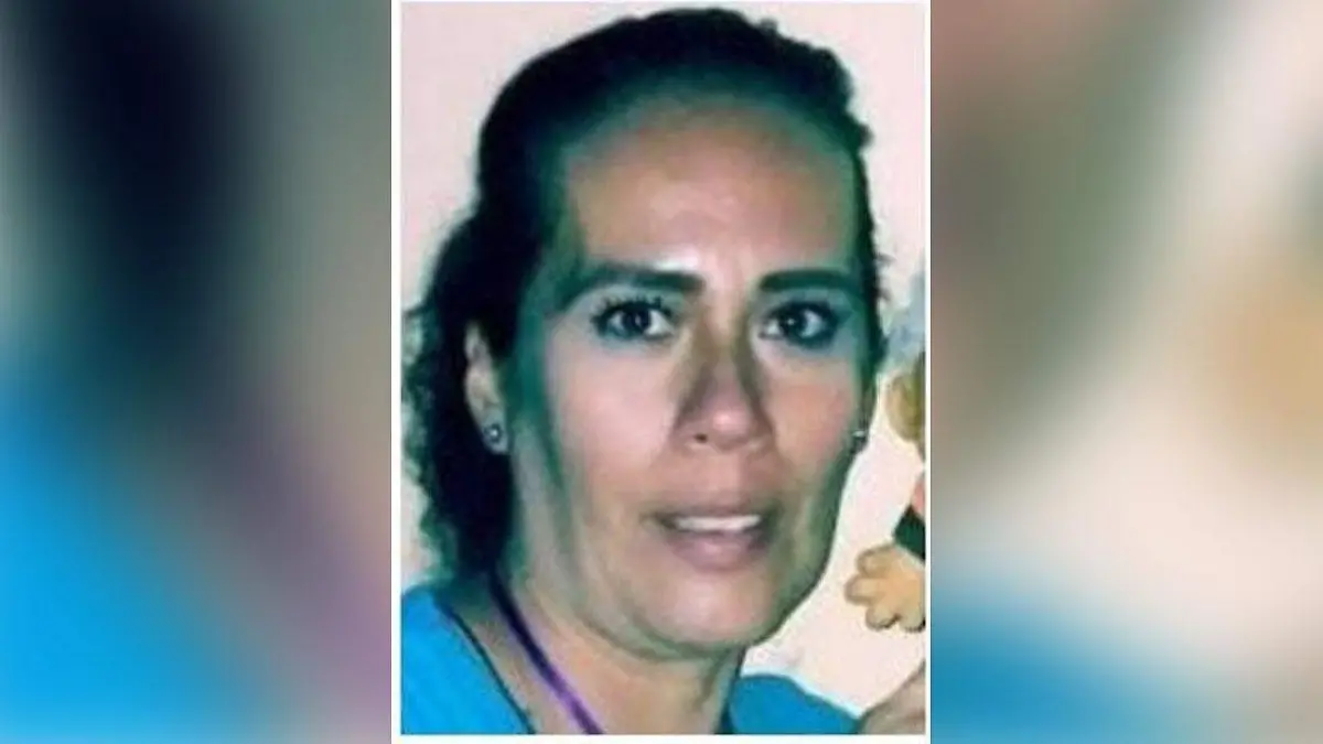 desaparece  Ana Lilia Montiel De La Torre