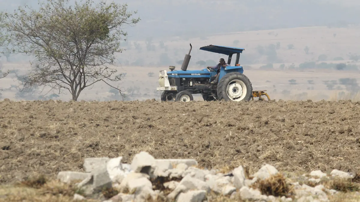 En riesgo, conocimiento y uso de las cabañuelas por cambio climático