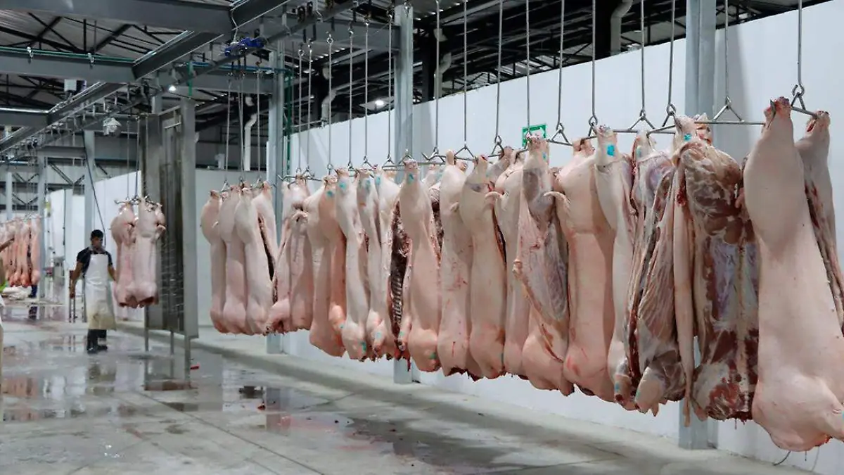 El área comenzó a ser utilizada desde el miércoles